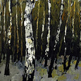 Passing Through Birches